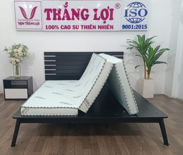 Nệm Cao Su Hoạt Tính Gấp 3 1m x 2m x 10cm