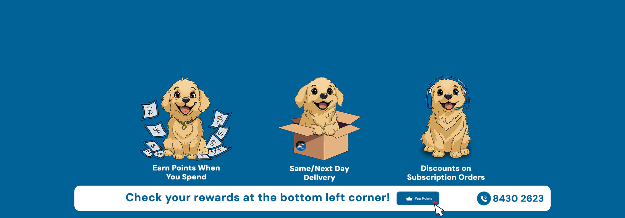 Pet Shop Online | Superpaws.sg