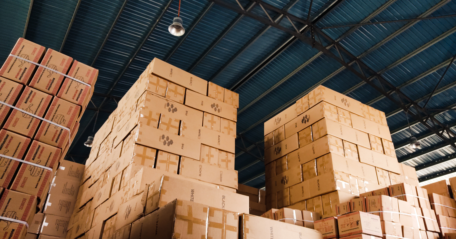 How AI Is Used in Logistics Across the USA and Detroit