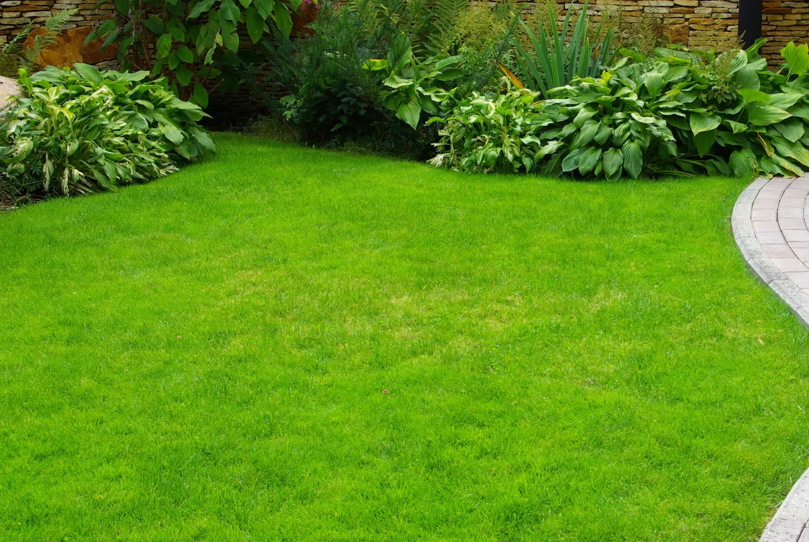 Lawn Care Rockford Il | Greenacresgroup.net