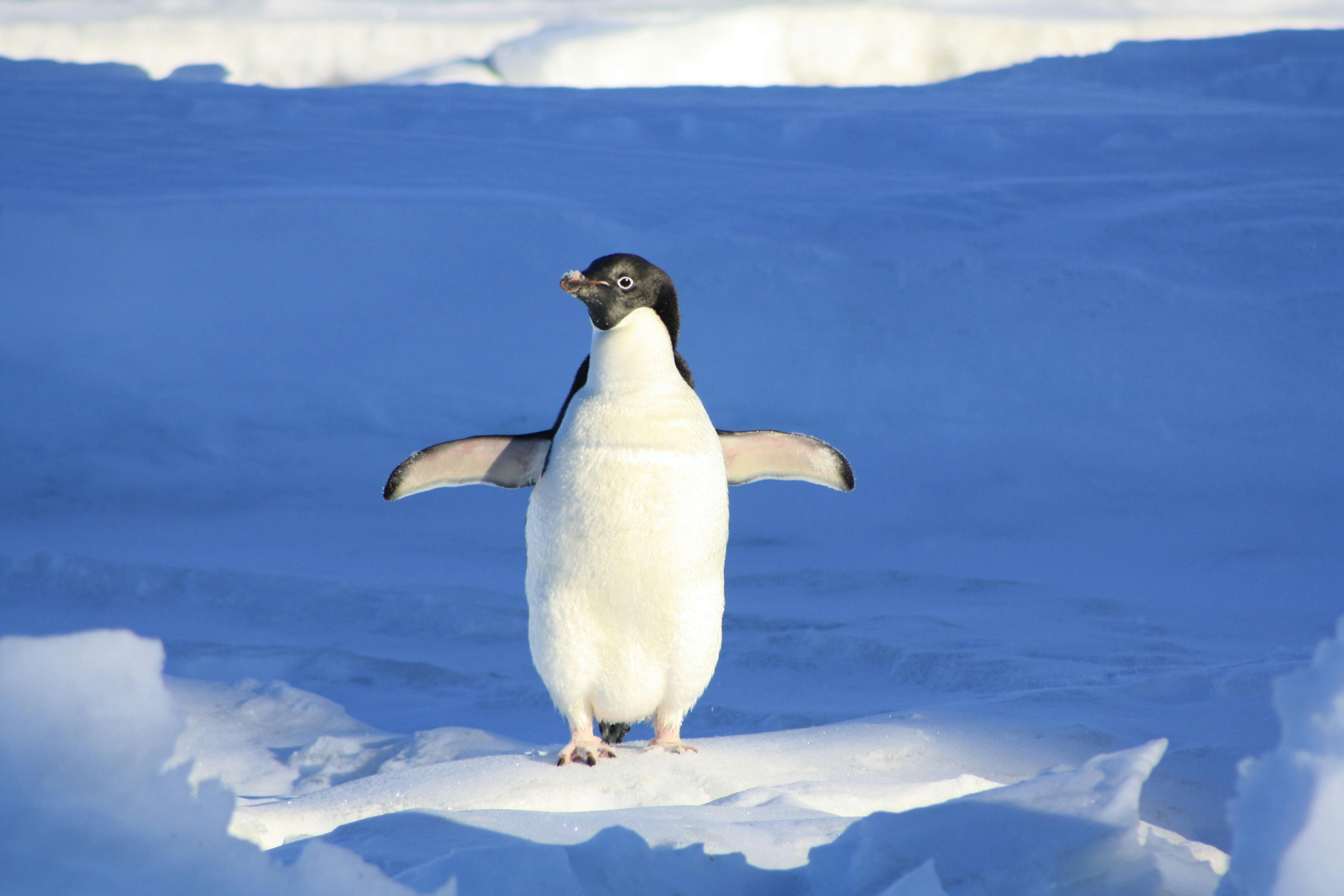 Explorando Linux