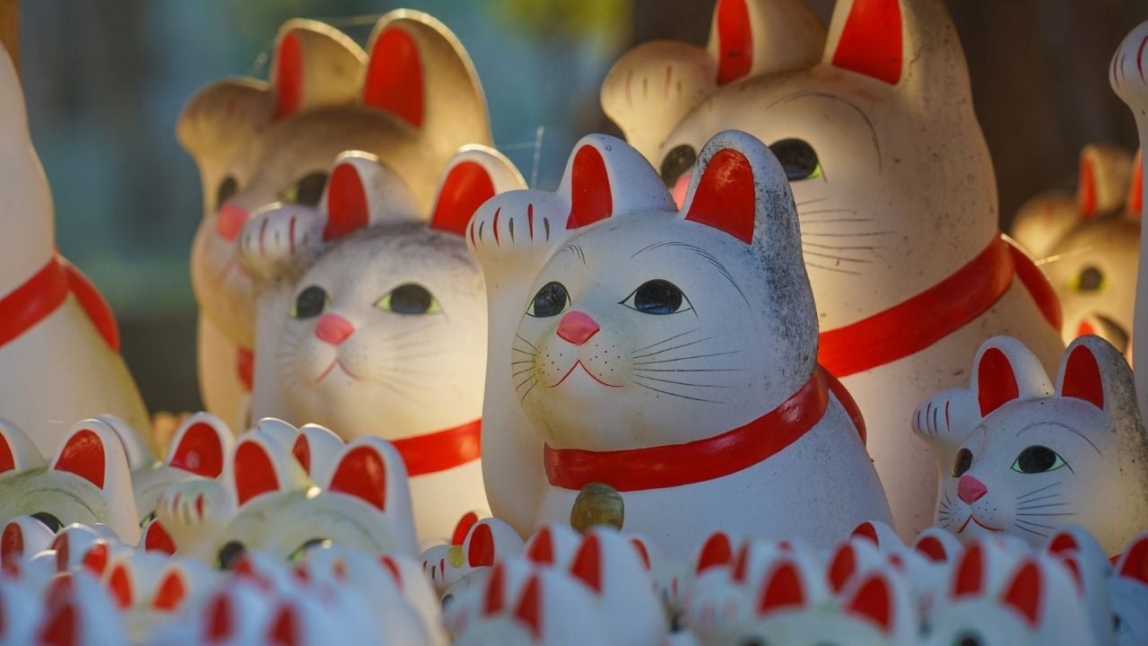 maneki-neko kedileri