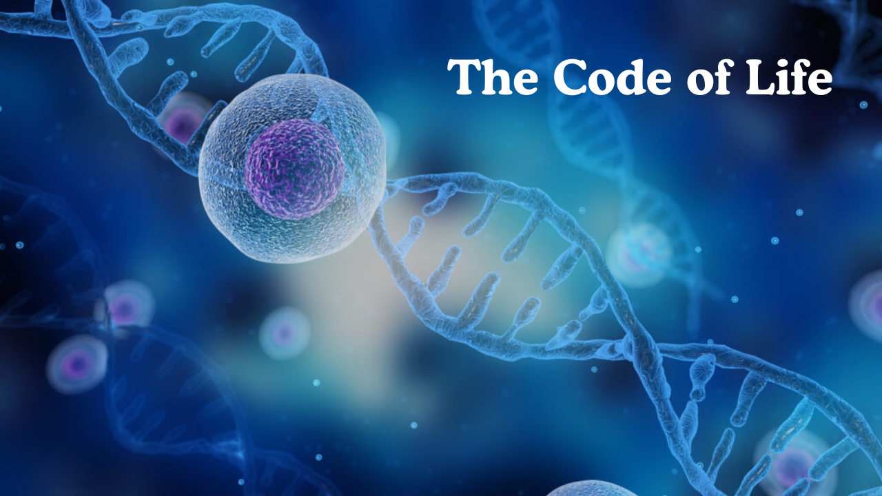 From Cell to Gene: Understanding the Building Blocks of Life