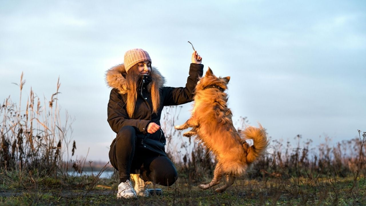 köpeği ve sahibi oyun oynuyor
