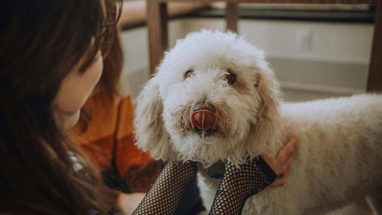 kadın köpeğini seviyor