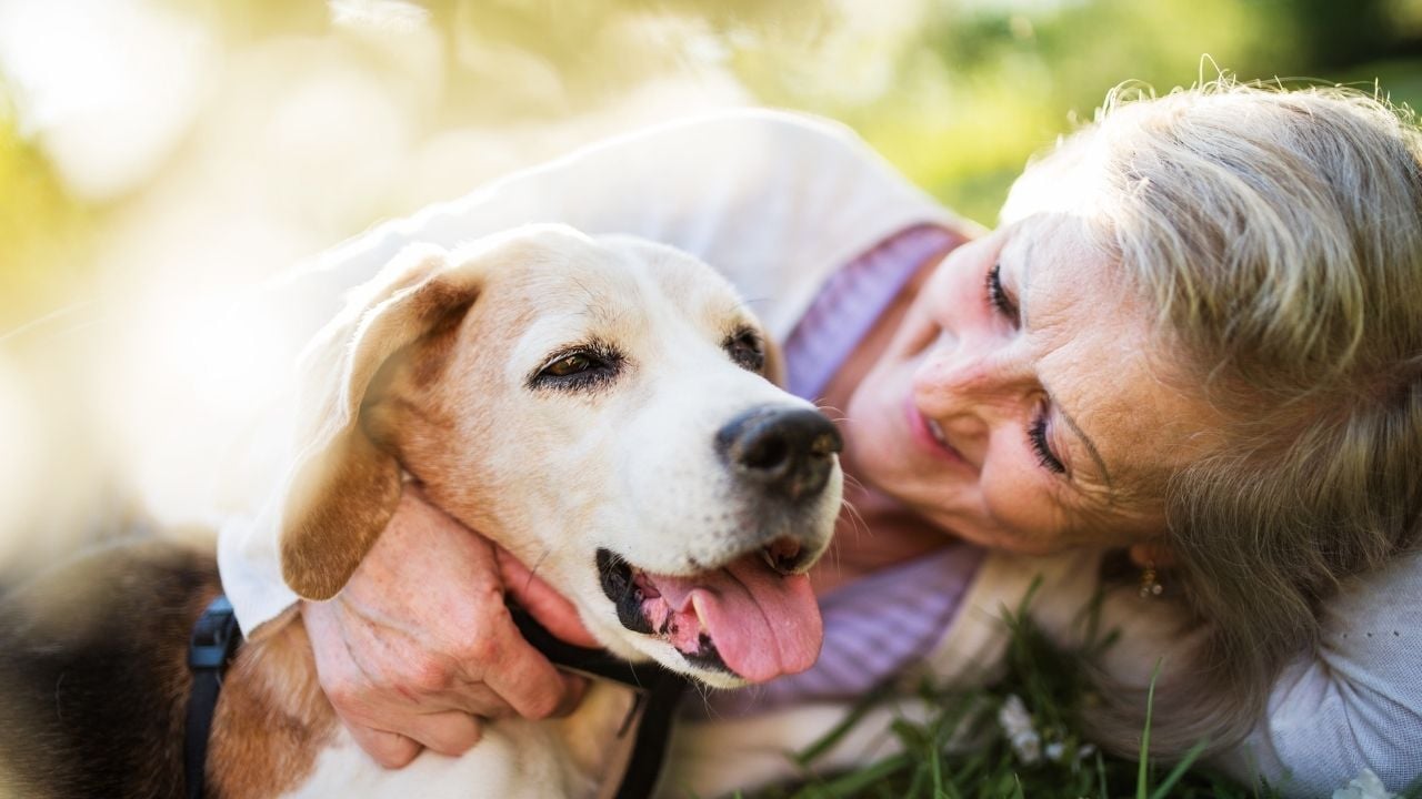 yaşlı kadın yaşlı köpeğine sarılıyor