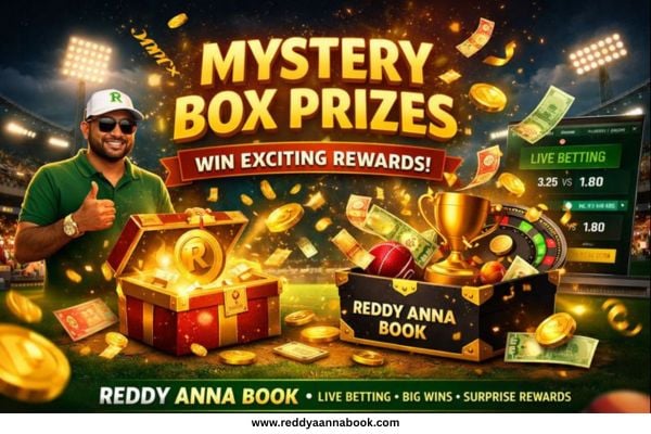 Biggest Mystery Box Prizes on Reddy Anna Book