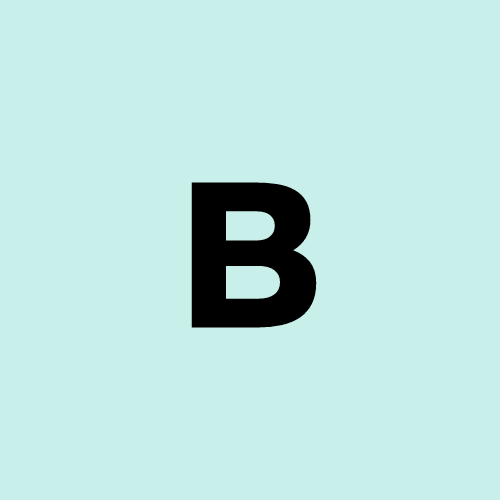 burnslimwebsite