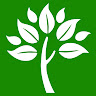 Gachwala Mushroom