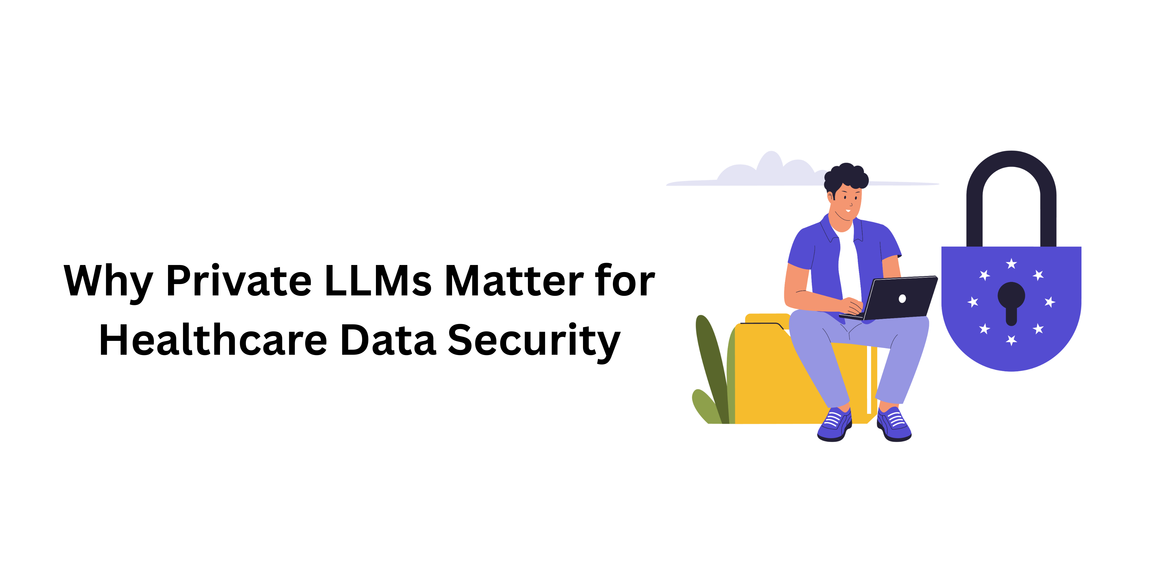 Why Private LLMs Matter for Healthcare Data Security