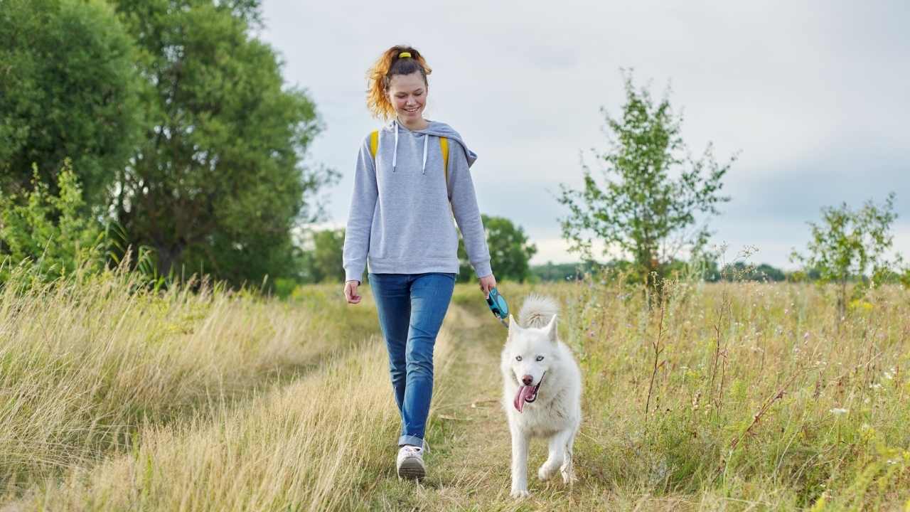 kadın, beyaz tüylü köpeğini gezdiriyor