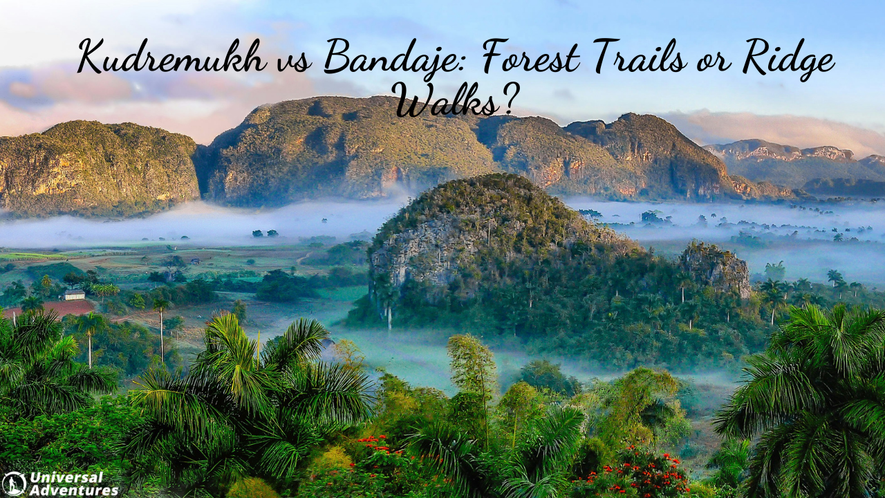 Kudremukh vs Bandaje: Forest Trails or Ridge Walks?