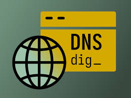 Understanding DNS Resolution Using dig