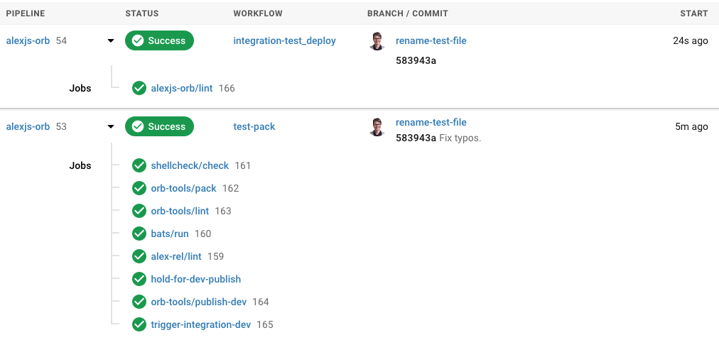 Testing steps in CI