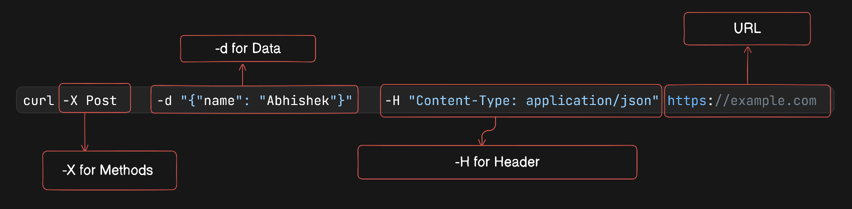 How Developers Talk to Servers: A Beginner’s Guide to cURL