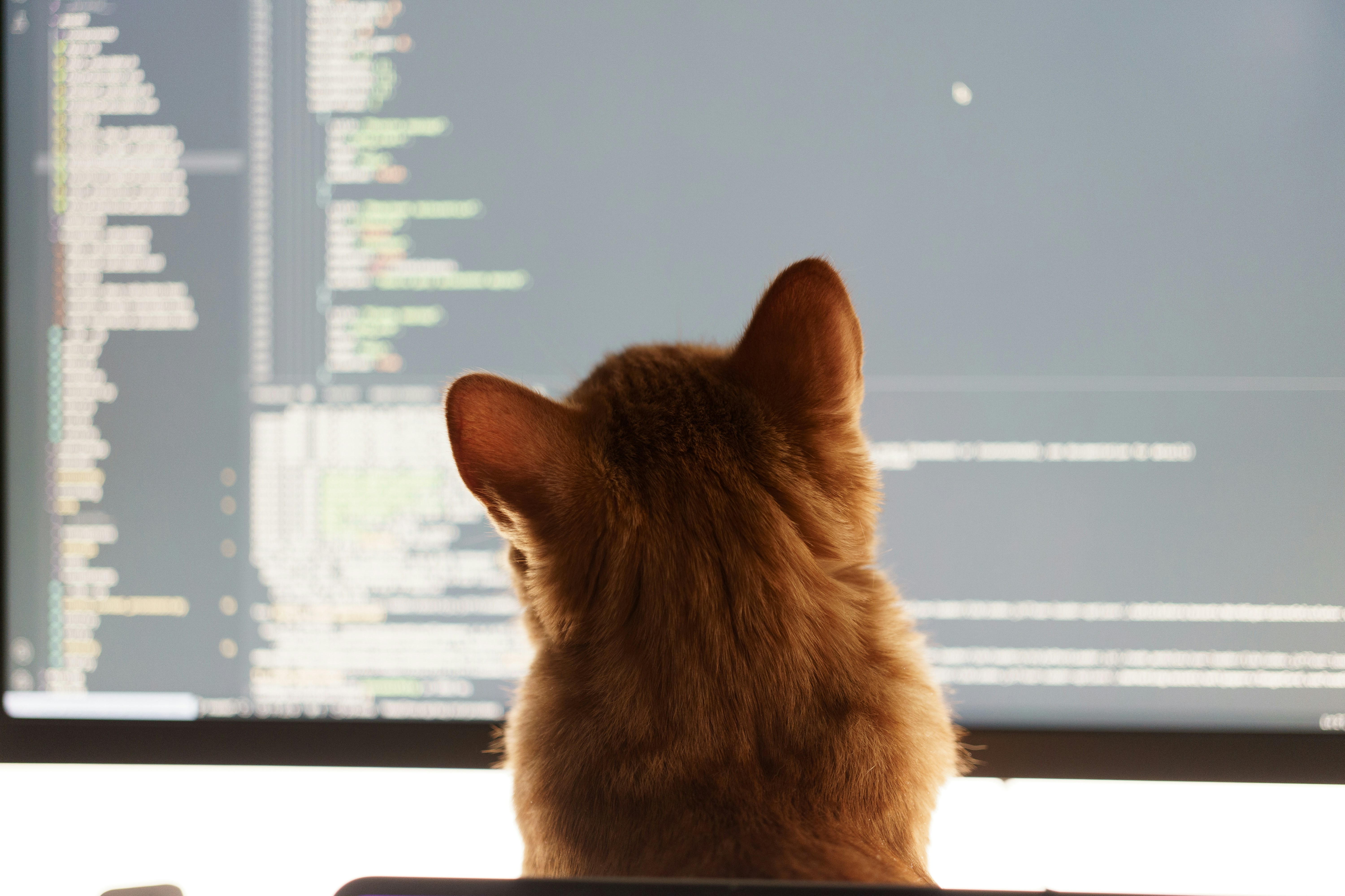 Emmet for HTML: A Beginner’s Guide to Writing Faster Markup