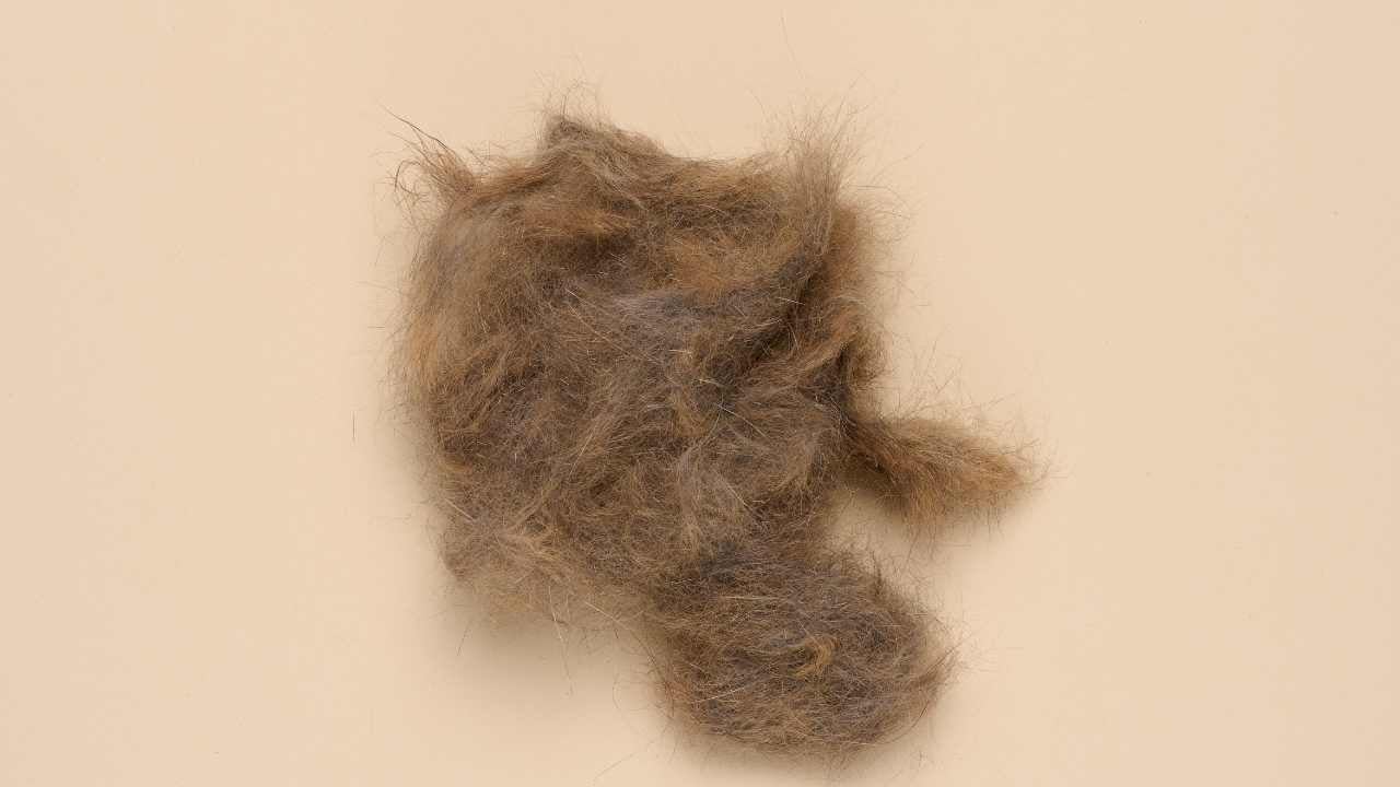 kedi tüy yumakları