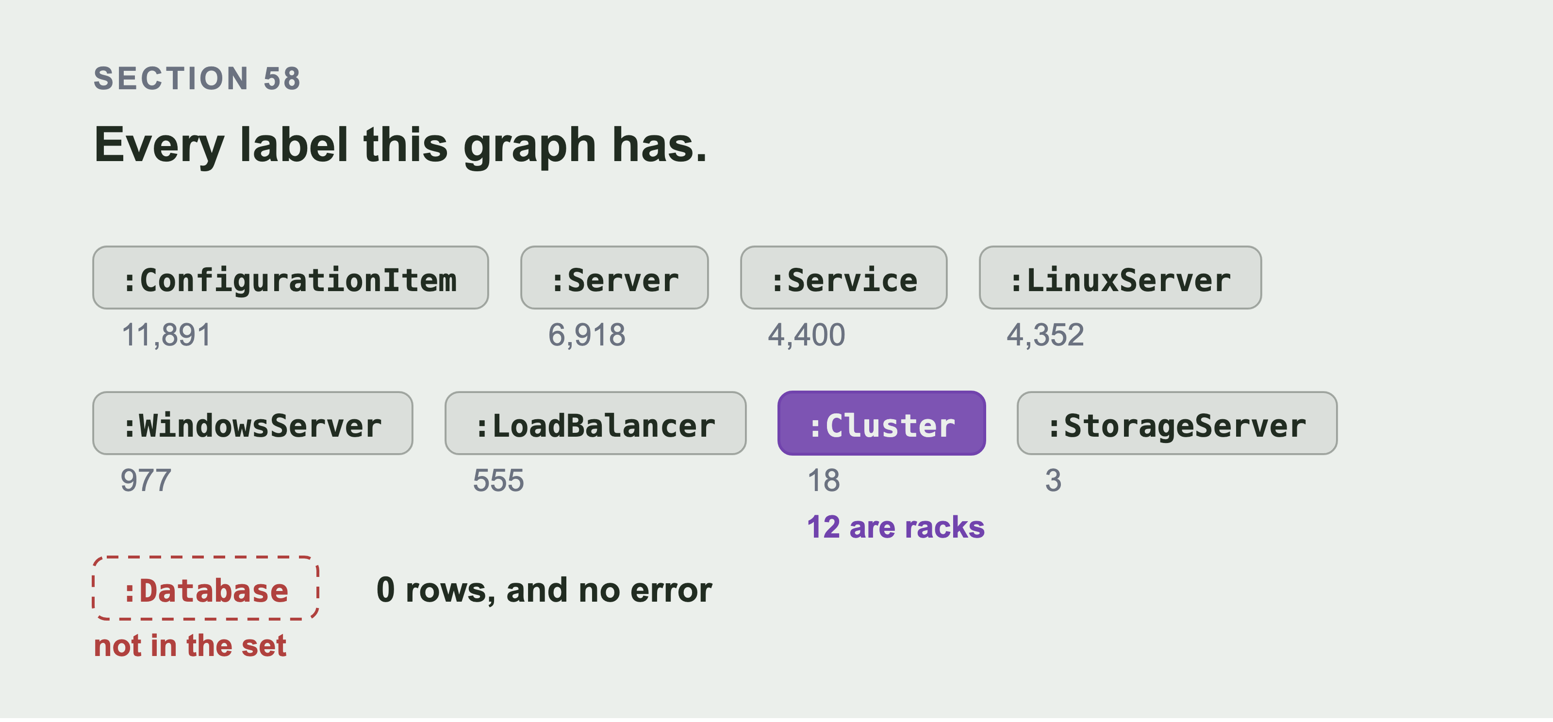 Eight label chips with their counts, from ConfigurationItem at 11,891 down to StorageServer at 3. Cluster is highlighted and marked 12 are racks. Underneath, a dashed empty chip reading Database, marked not in the set, beside the words 0 rows and no error.