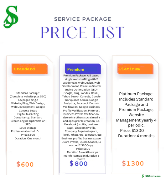 website/blog design, website development, and SEO service package includes price