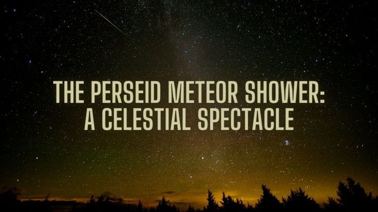 The Perseid Meteor Shower at night sky.