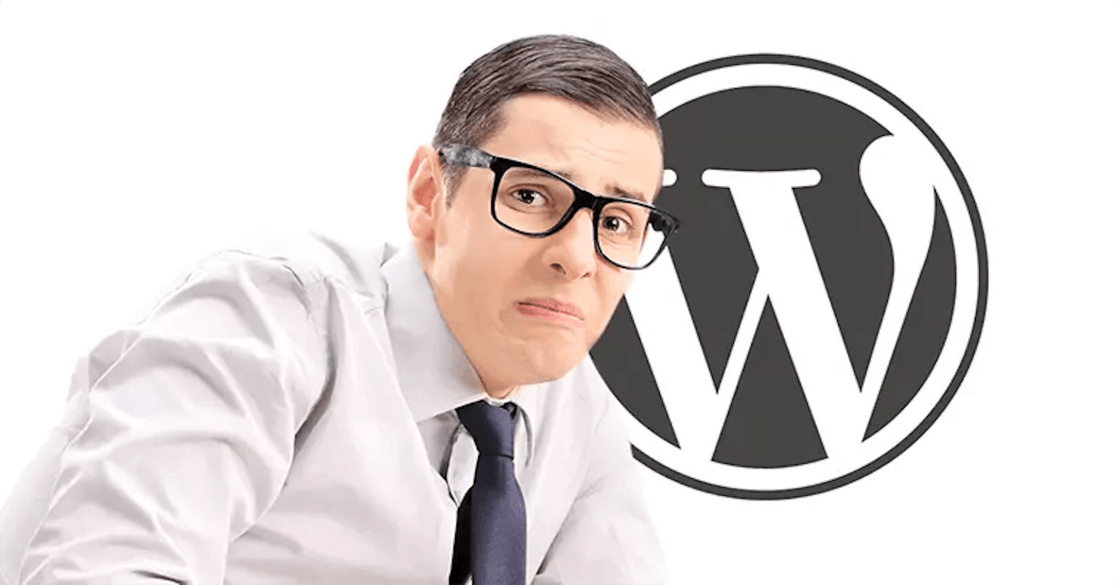 WordPress güvenlik raporu