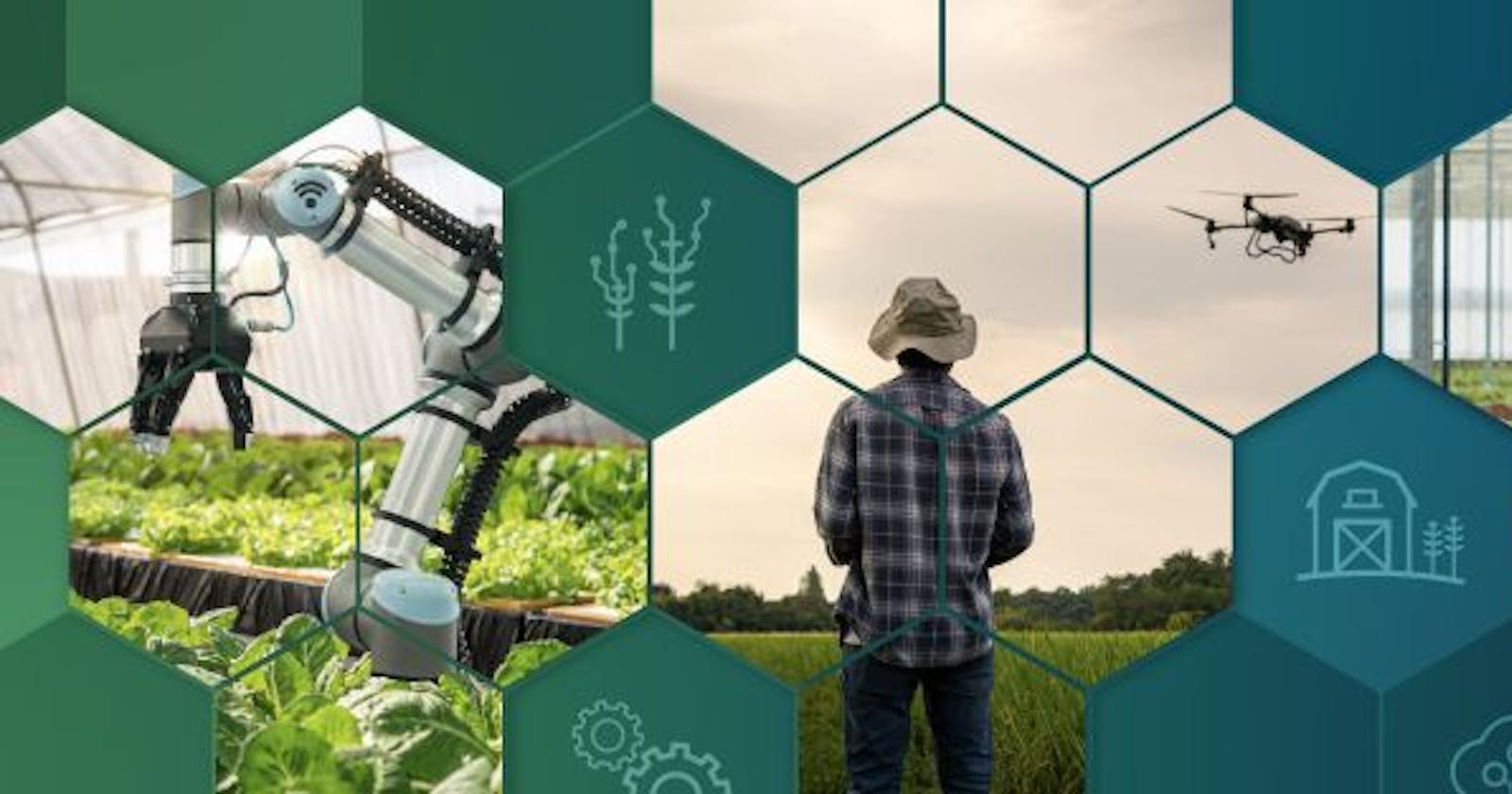 NSF and USDA join forces to boost innovation in agricultural robotics