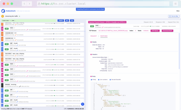 Kubeshark: Wireshark for Your Kubernetes Cluster? Find out and learn with us