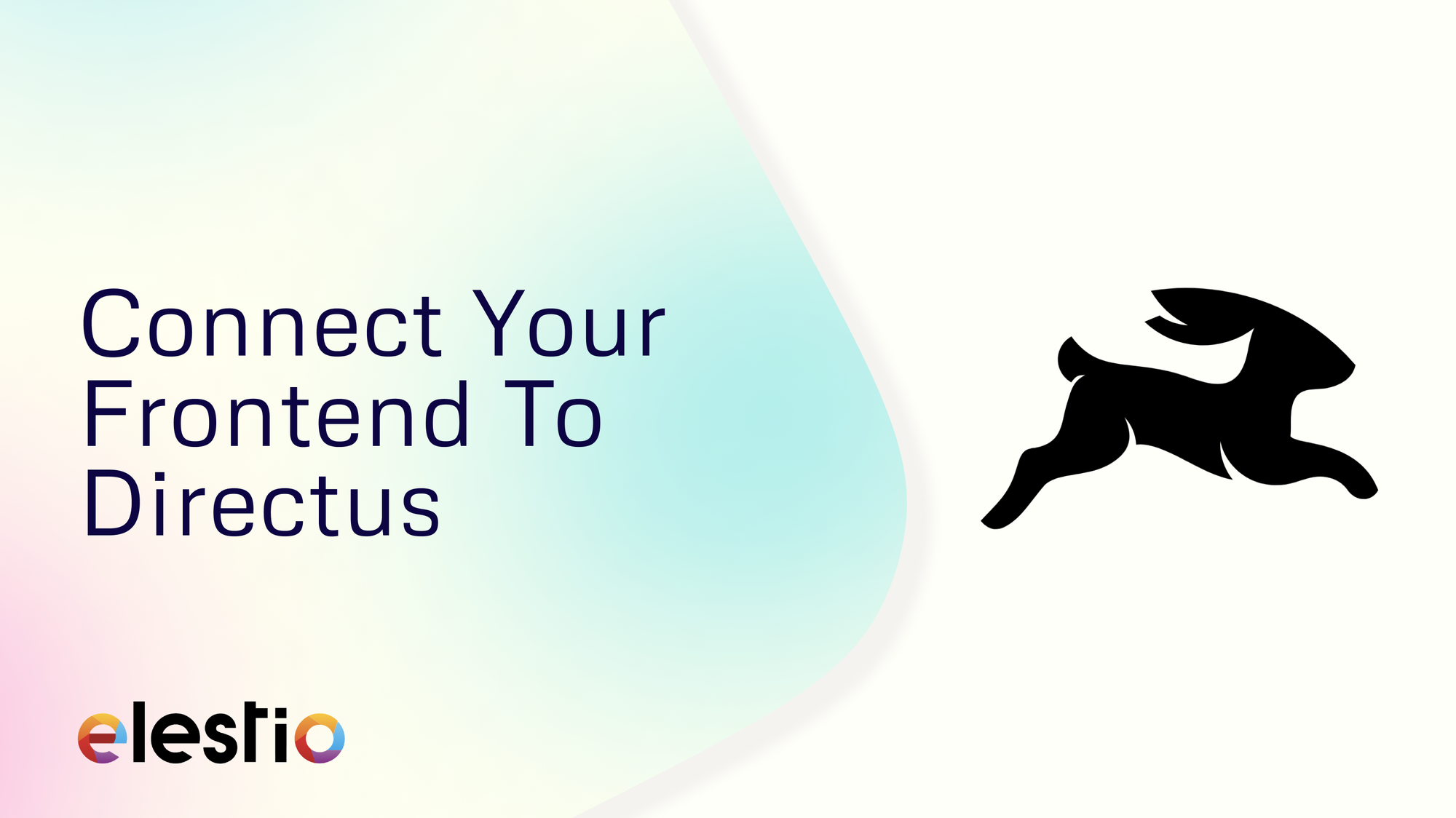 Connect Your Frontend To Directus