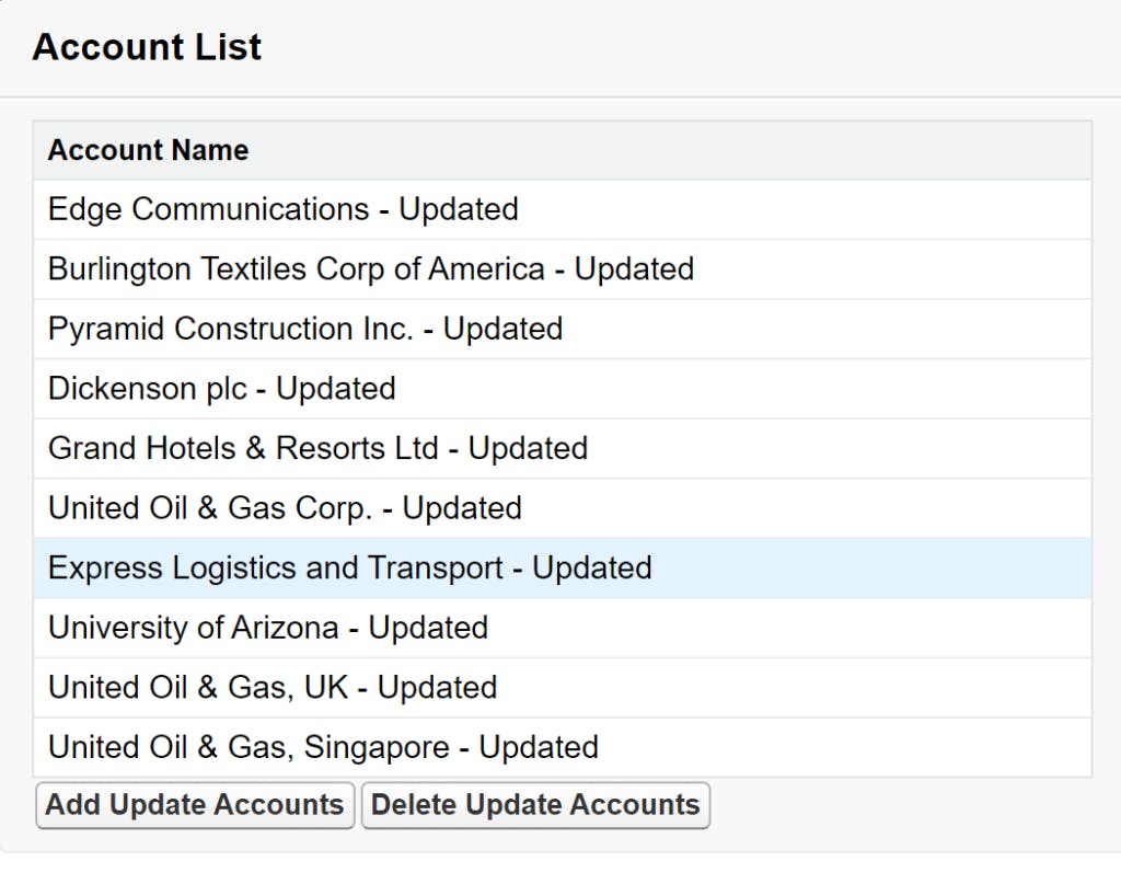 Visualforce Page with the result of clicking the Add Update Accounts button