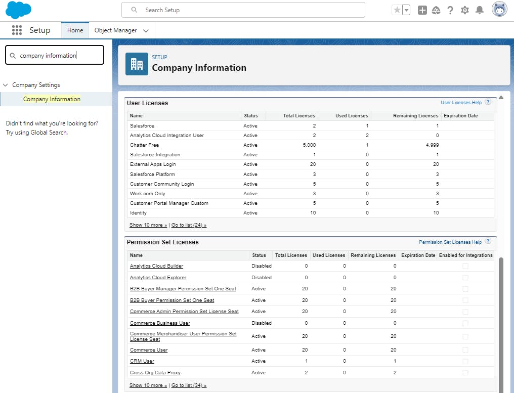 License Usage Overview in Setup