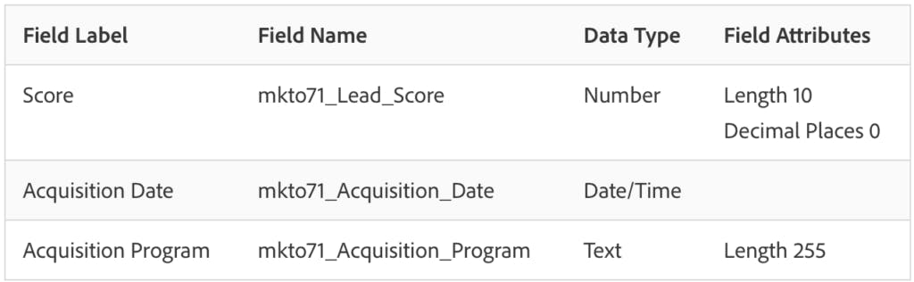 Marketo Custom Fields