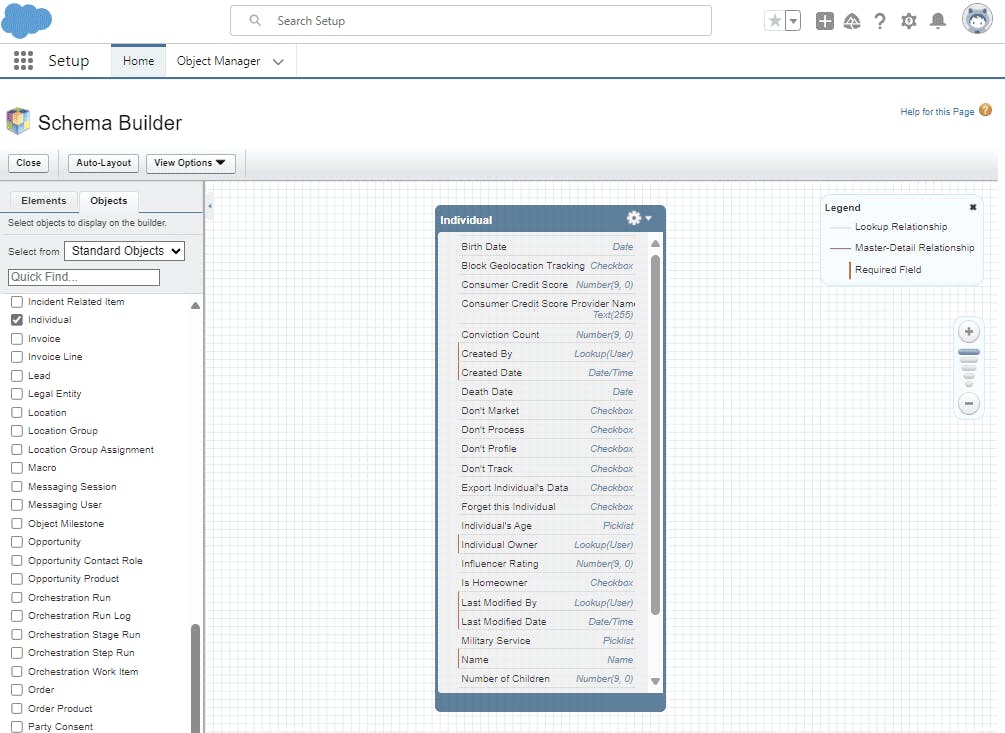 Salesforce Individual Standard Object in Setup