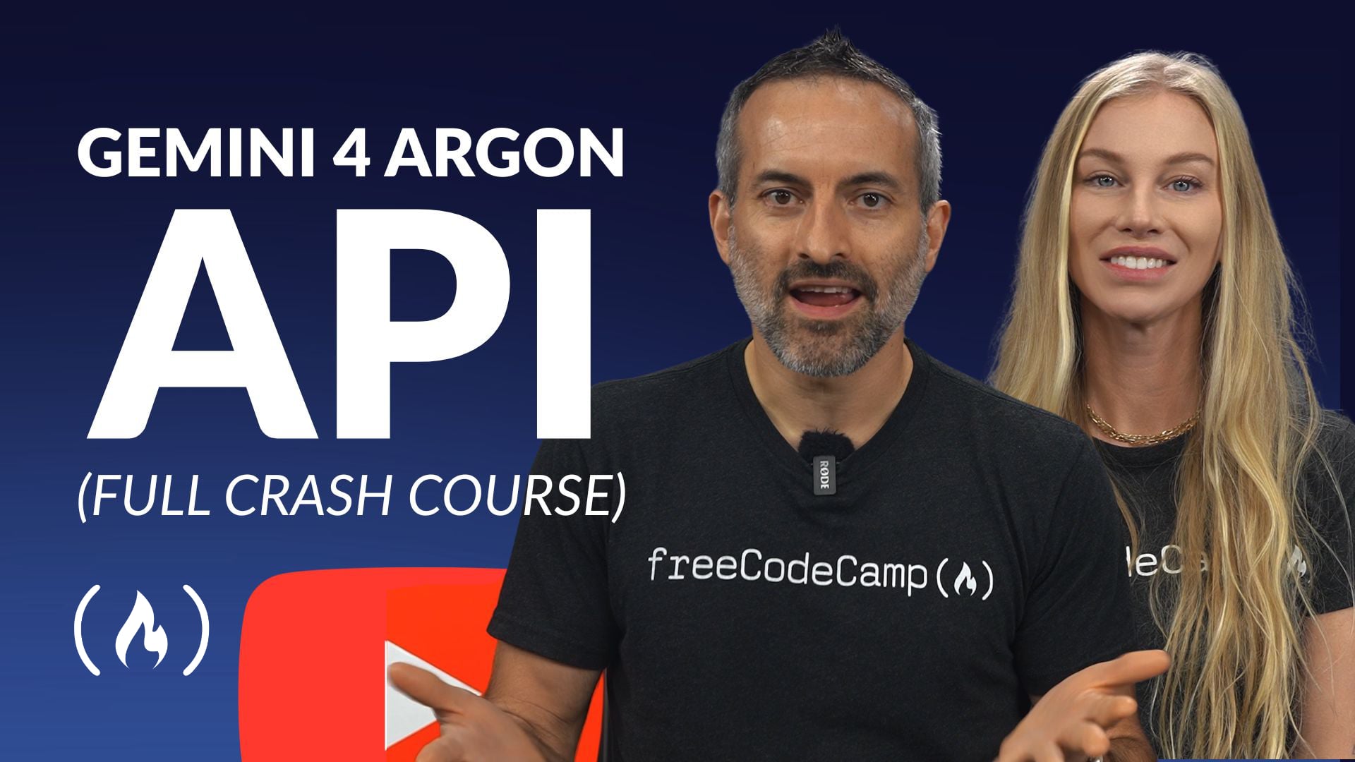 Сборка с помощью Gemini 4 Argon – ускоренный курс API
