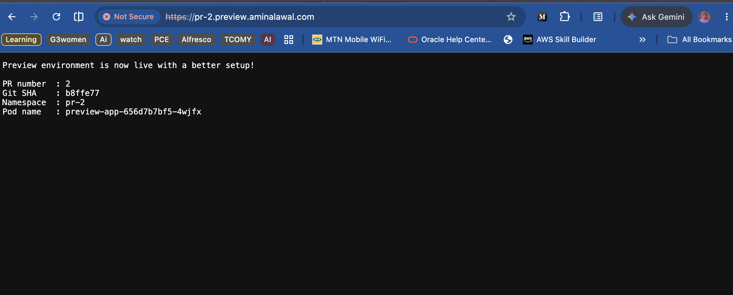 The preview environment loading in the browser, showing the application's output with the correct PR number, commit SHA, and namespace