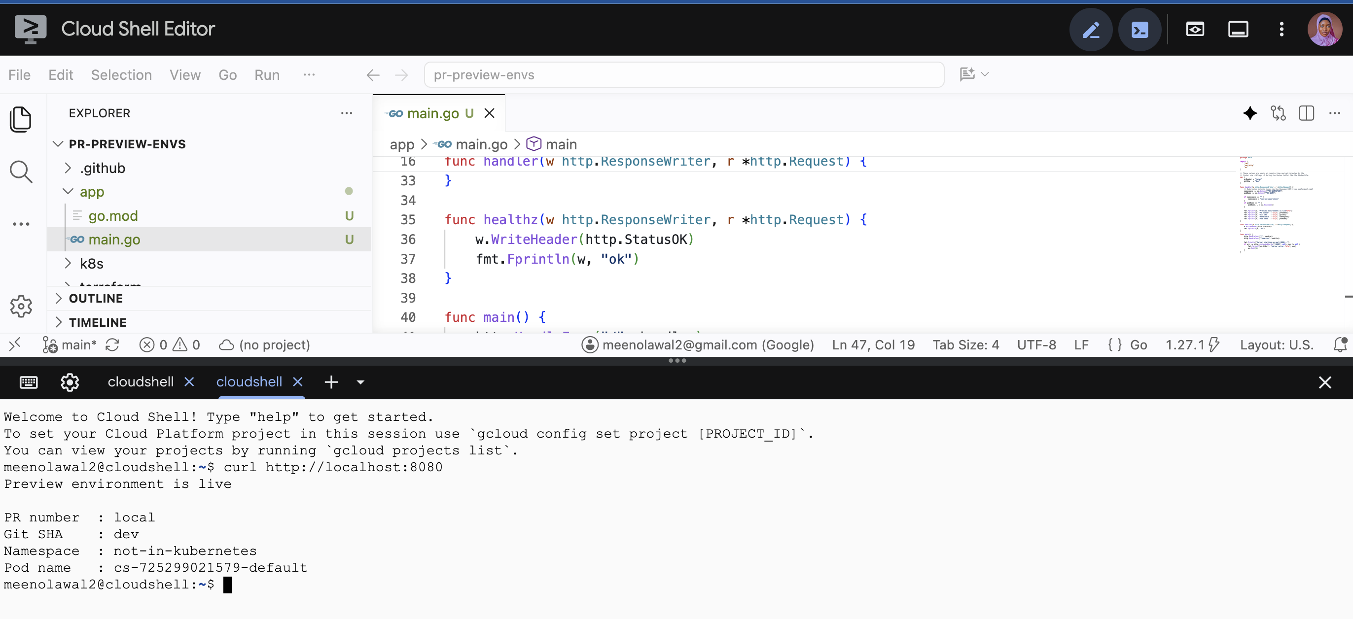 Terminal output from curl showing the application reporting PR number "local" and Git SHA "dev" when run outside the Docker build