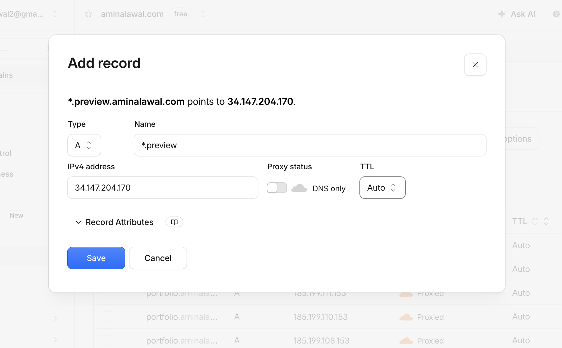 DNS provider interface showing a wildcard A record for *.preview pointing to the static IP address of the ingress load balancer