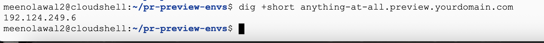 Terminal output from dig returning the ingress static IP for a subdomain that was never explicitly created, confirming the wildcard record resolves