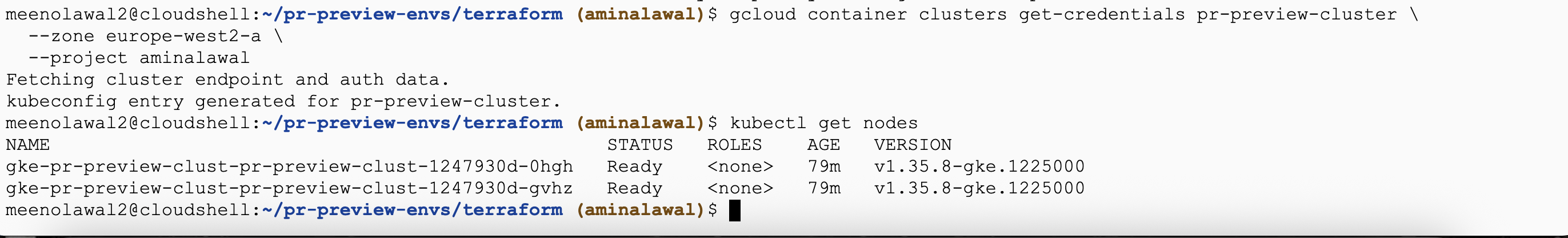 Output of kubectl get nodes showing two GKE nodes in Ready status