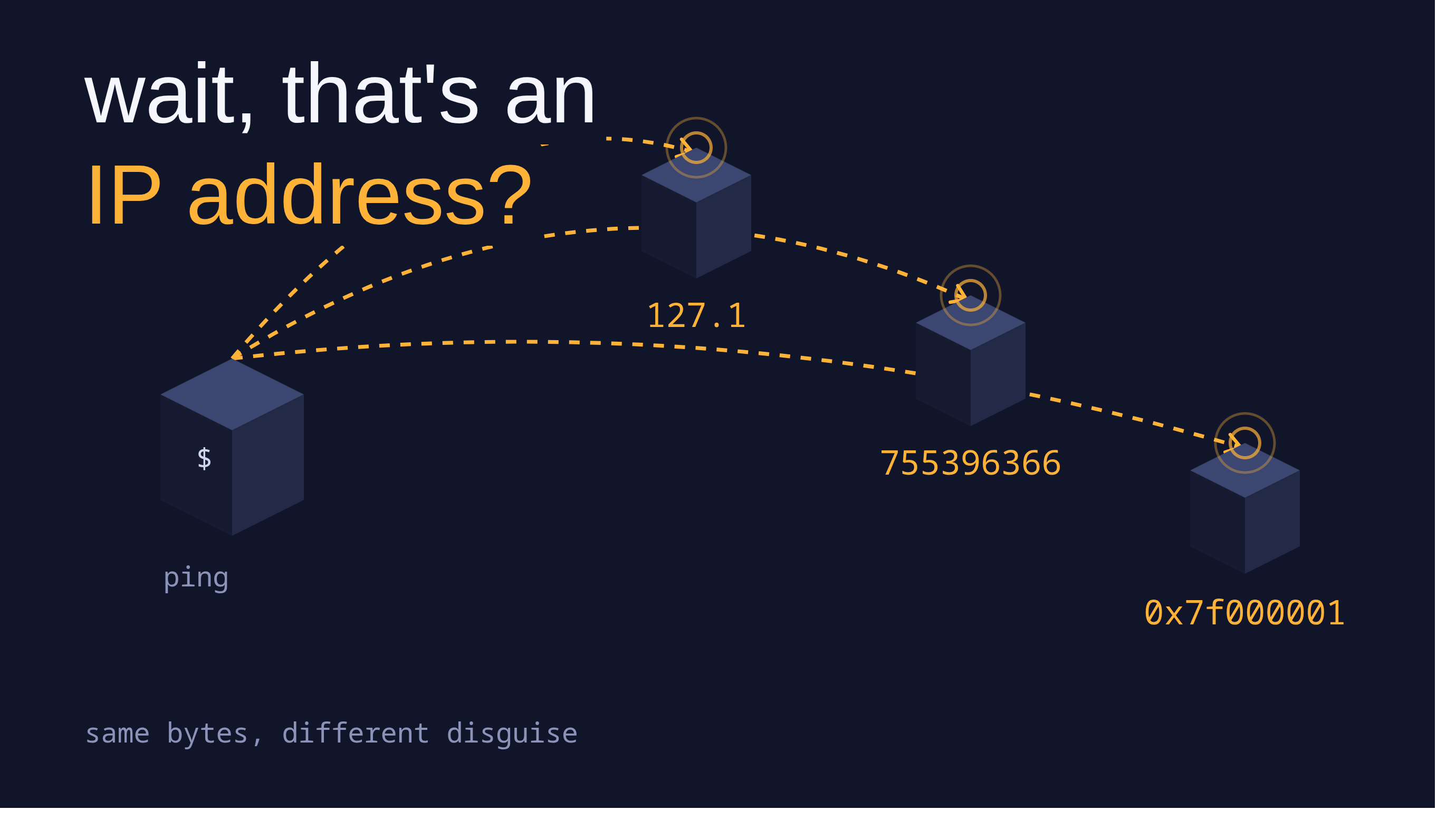 Wait, That's an IP Address?