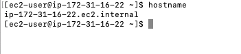 hostname-output