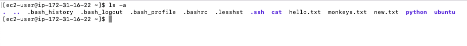 ls encrypted