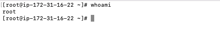 whoami-yolo-output