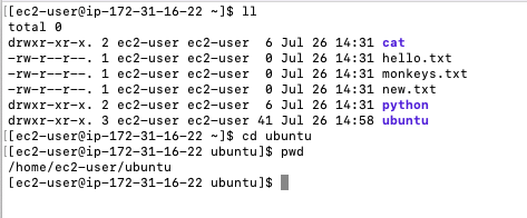 navigate folder