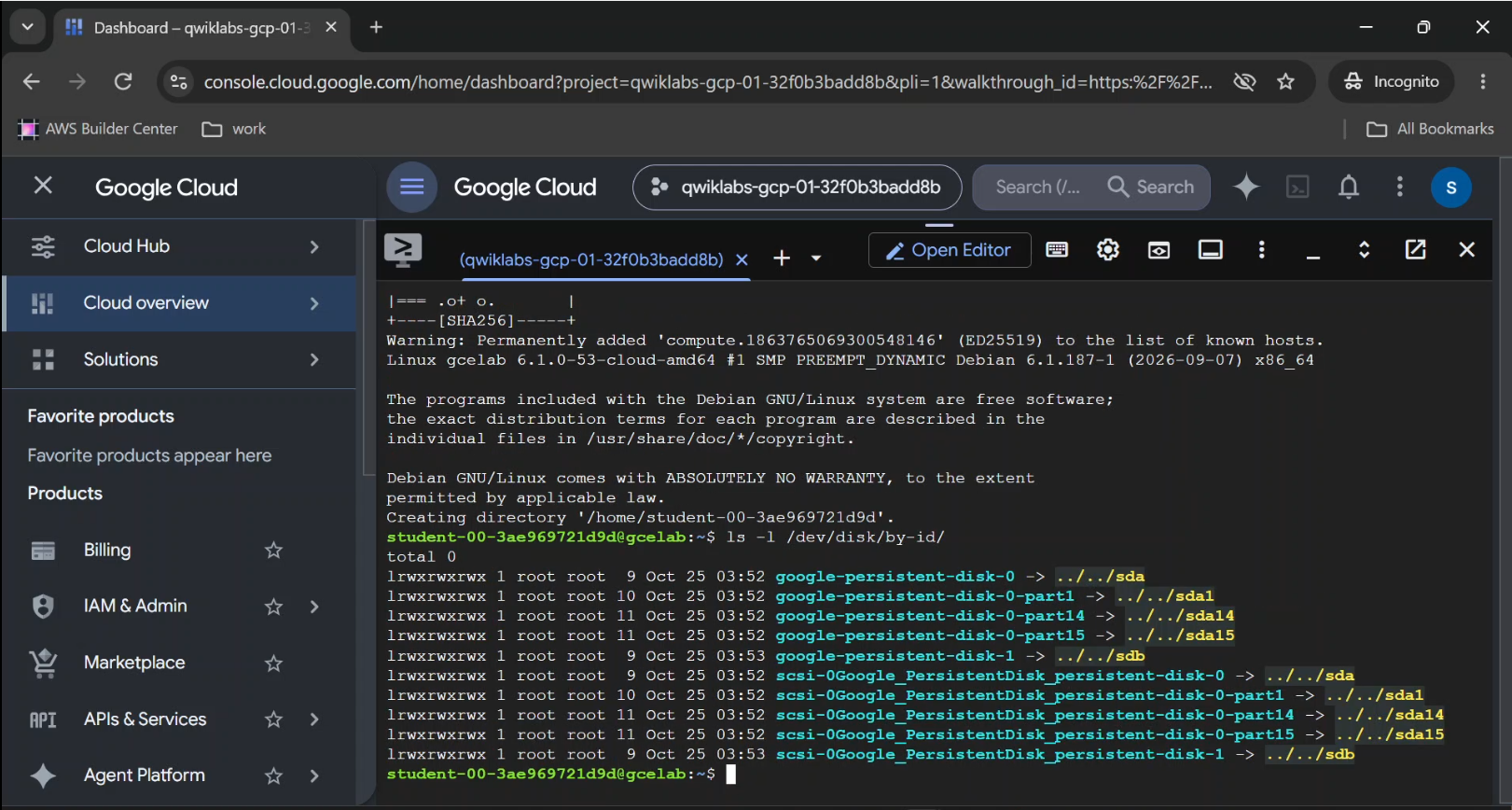 Linux terminal showing the attached Persistent Disk device path.