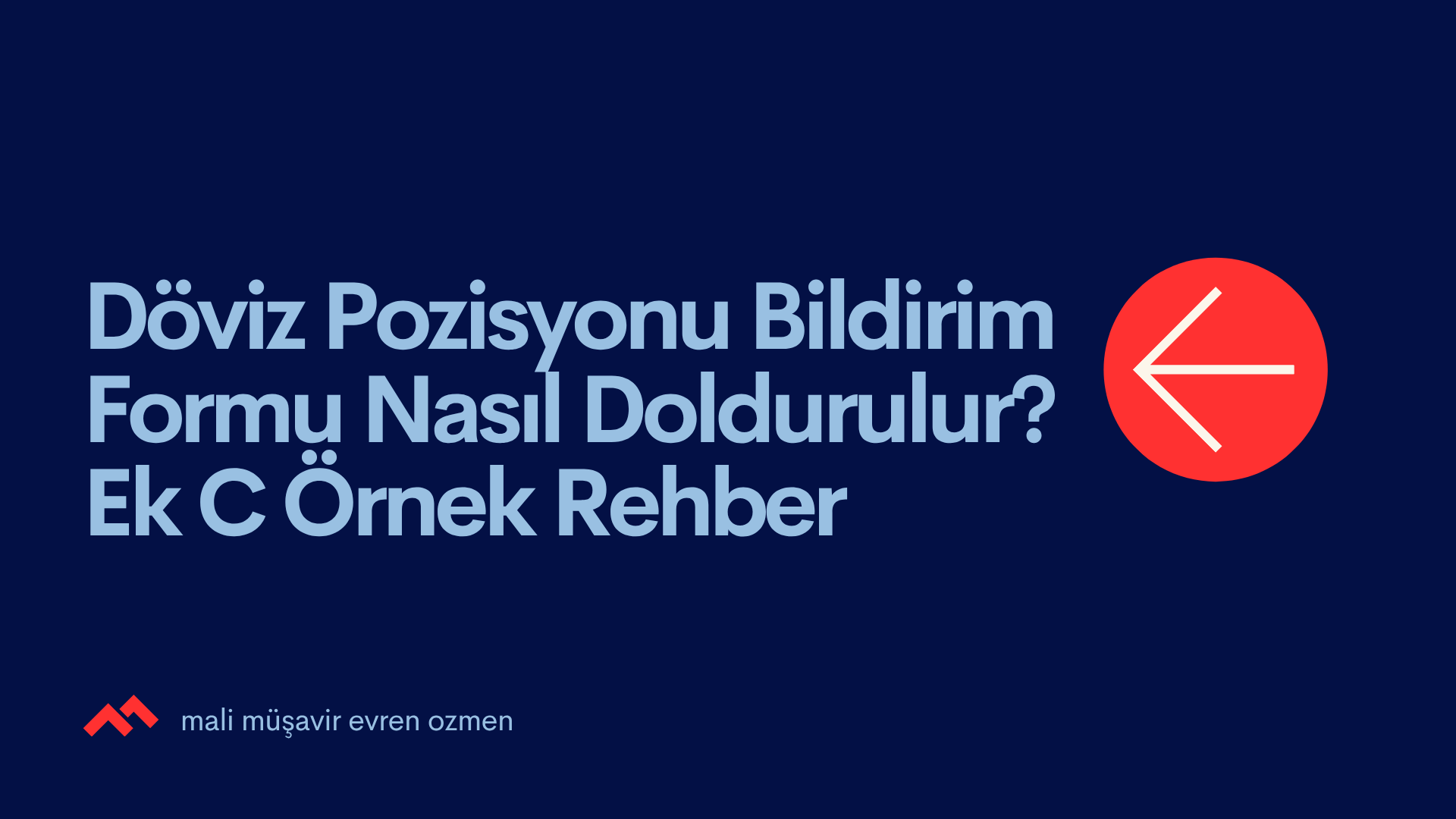 Döviz Pozisyonu Bildirim Formu Nasıl Doldurulur? Ek C Örnek Rehber