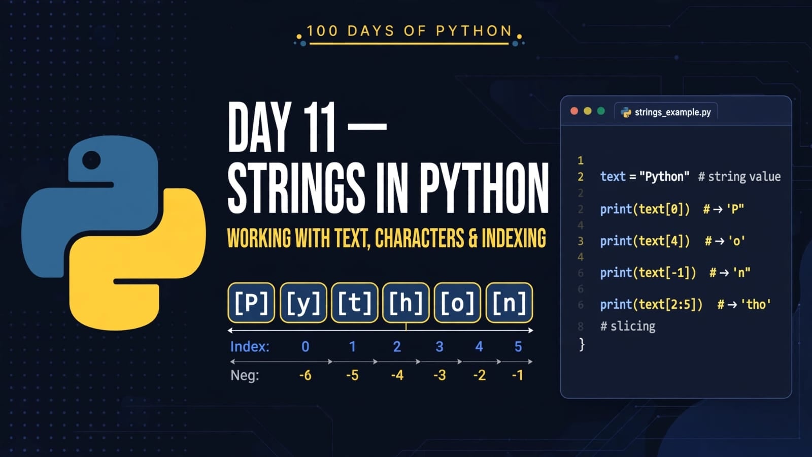 Day 11 – Strings in Python