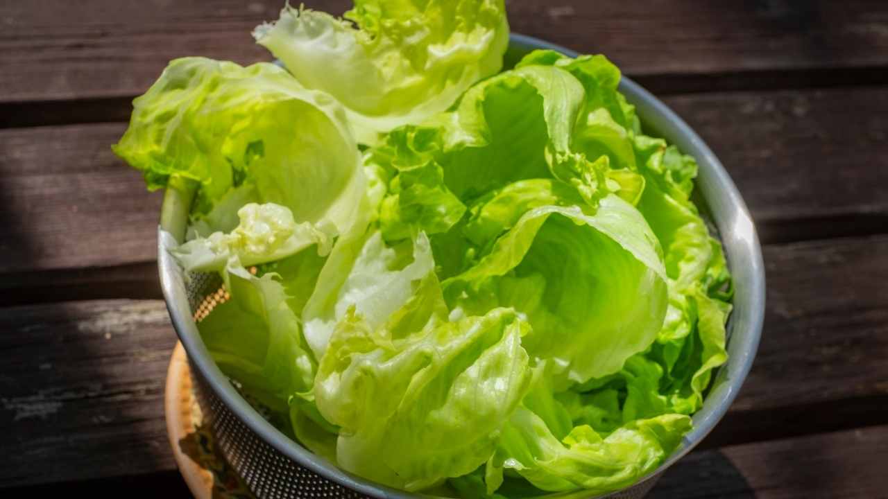 kap içinde marul yaprakları