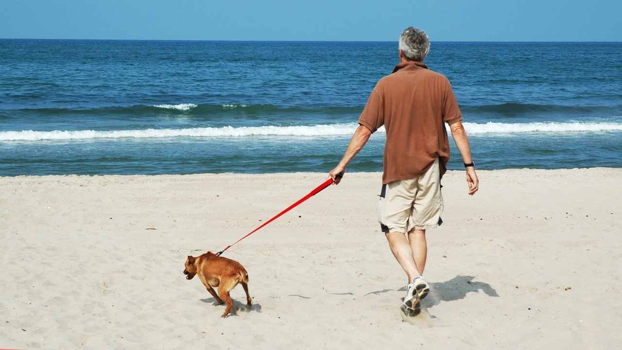 adam köpeğini plaja götürüyor