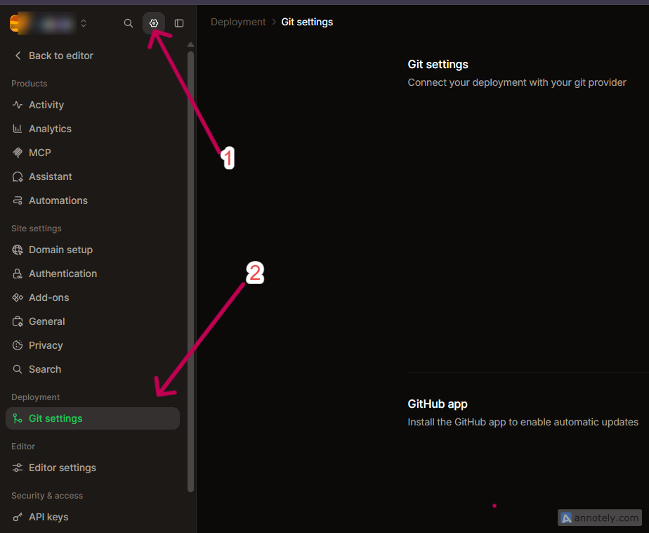 Settings in Mintlify