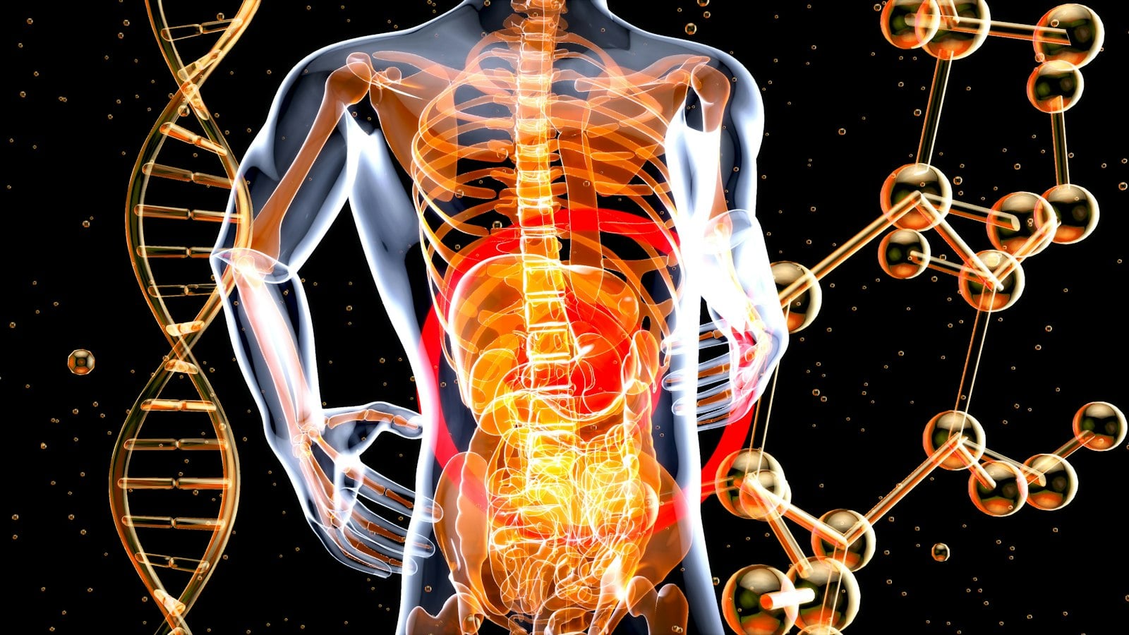 Your Body Is Constantly Changing
